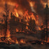 Jericho Mountain Fire 2025: Montana’s Wildfire Crisis and the Gear That Honors It