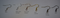 Wow! Moose Antler Earrings-Small! Made in Montana!