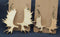 Wooden Moose Antler Earrings! Large Made in Montana!